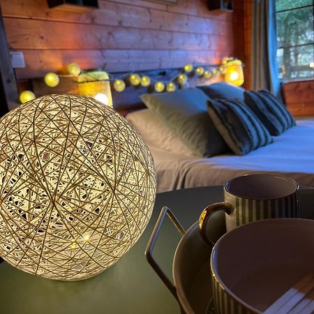 "Le Maloya" Chalets Independants -Chambre Balneo - Relais Motards Lacaune Ngoại thất bức ảnh