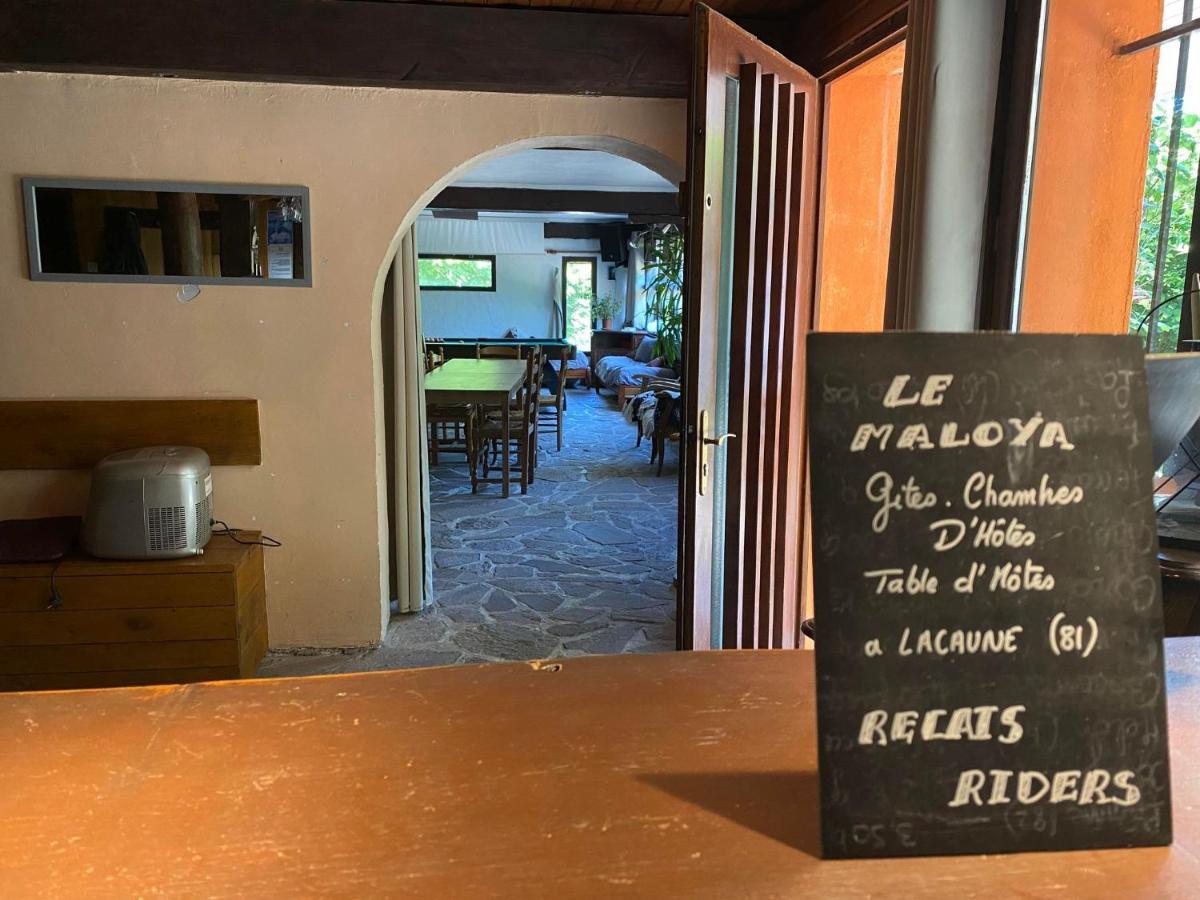 "Le Maloya" Chalets Independants -Chambre Balneo - Relais Motards Lacaune Ngoại thất bức ảnh