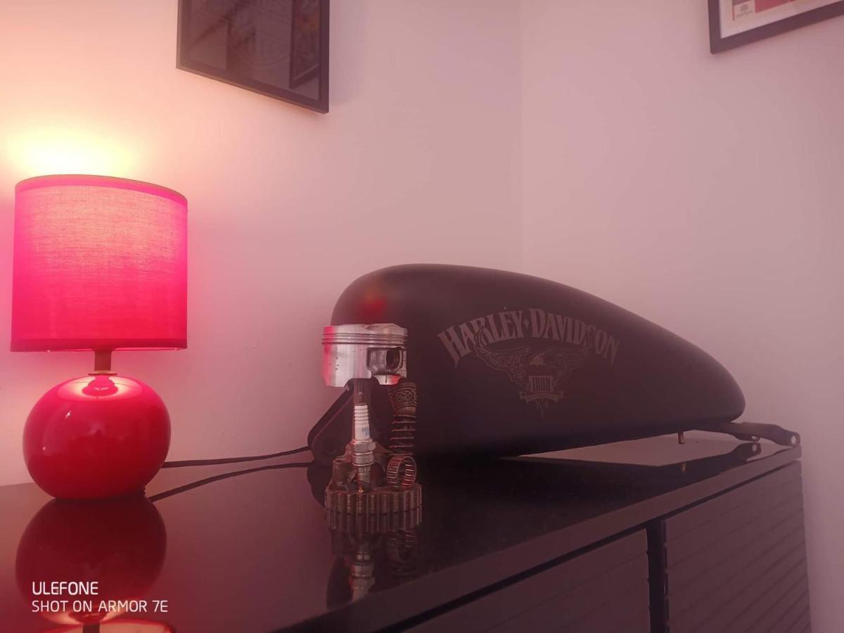 "Le Maloya" Chalets Independants -Chambre Balneo - Relais Motards Lacaune Ngoại thất bức ảnh