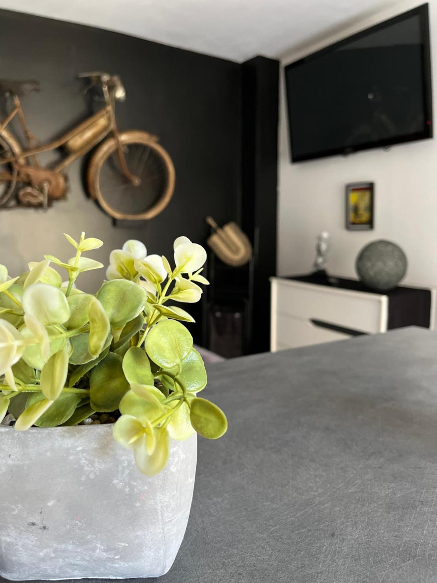 "Le Maloya" Chalets Independants -Chambre Balneo - Relais Motards Lacaune Ngoại thất bức ảnh
