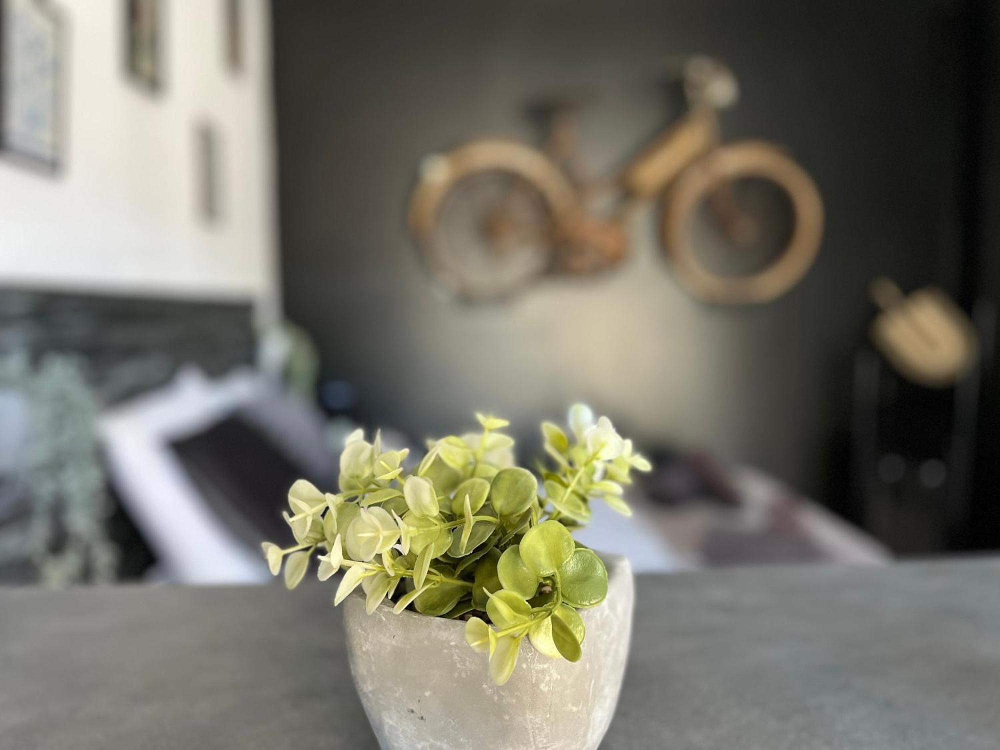 "Le Maloya" Chalets Independants -Chambre Balneo - Relais Motards Lacaune Ngoại thất bức ảnh