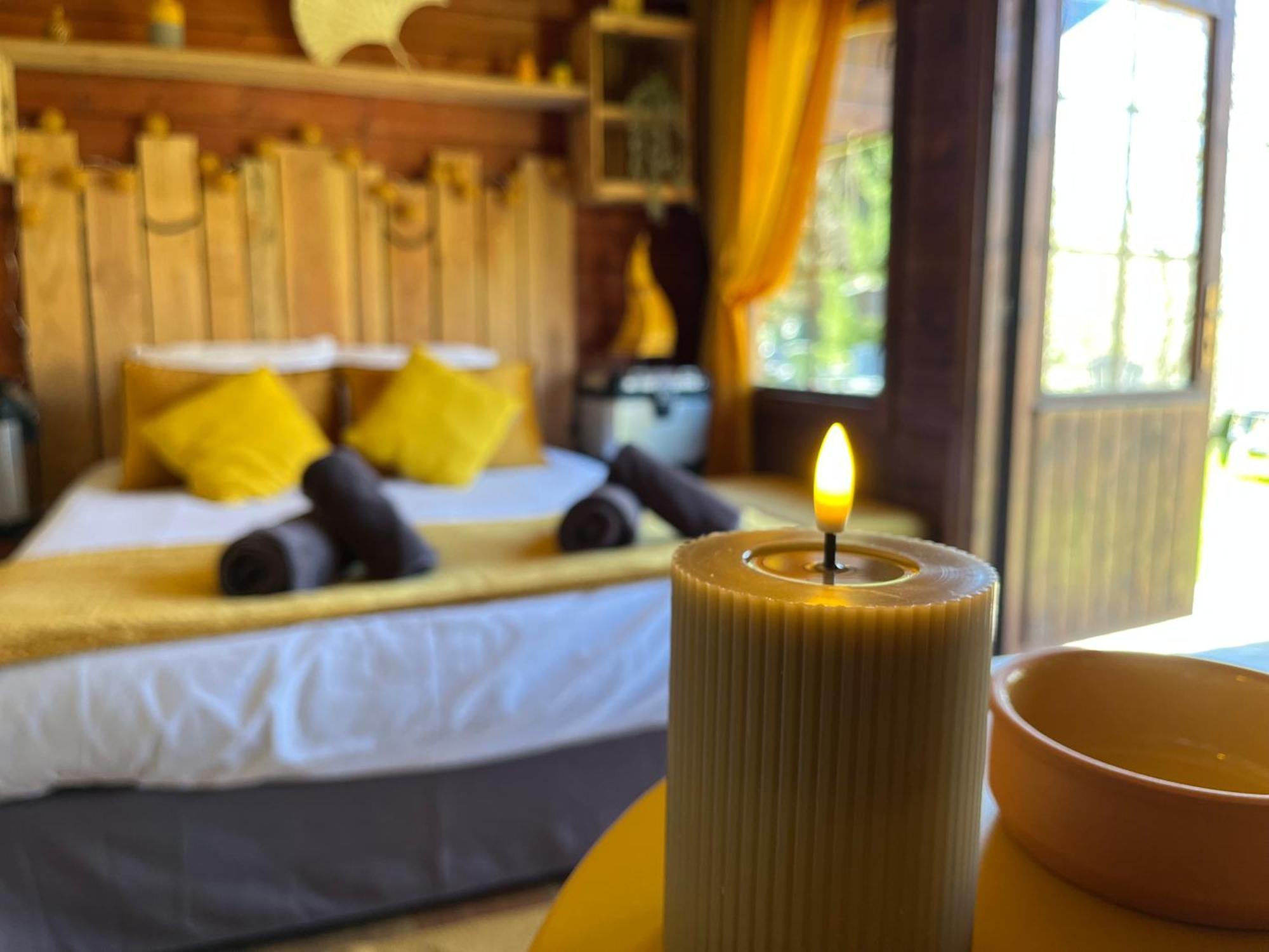 "Le Maloya" Chalets Independants -Chambre Balneo - Relais Motards Lacaune Ngoại thất bức ảnh