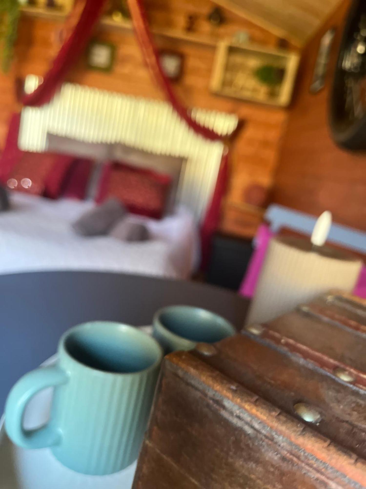 "Le Maloya" Chalets Independants -Chambre Balneo - Relais Motards Lacaune Ngoại thất bức ảnh